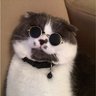 EhNoT