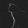 bycat